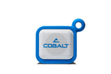 Pitch Speaker